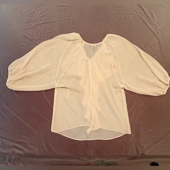 NWOT Aqua Sheer Cream Blouse w/ Sleeves and Ruffled Neckline Size Small MSRP$128 - Picture 3 of 6